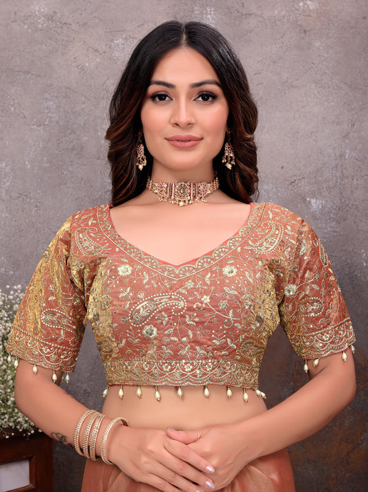 Peach Gold Tissue Embroidered Saree