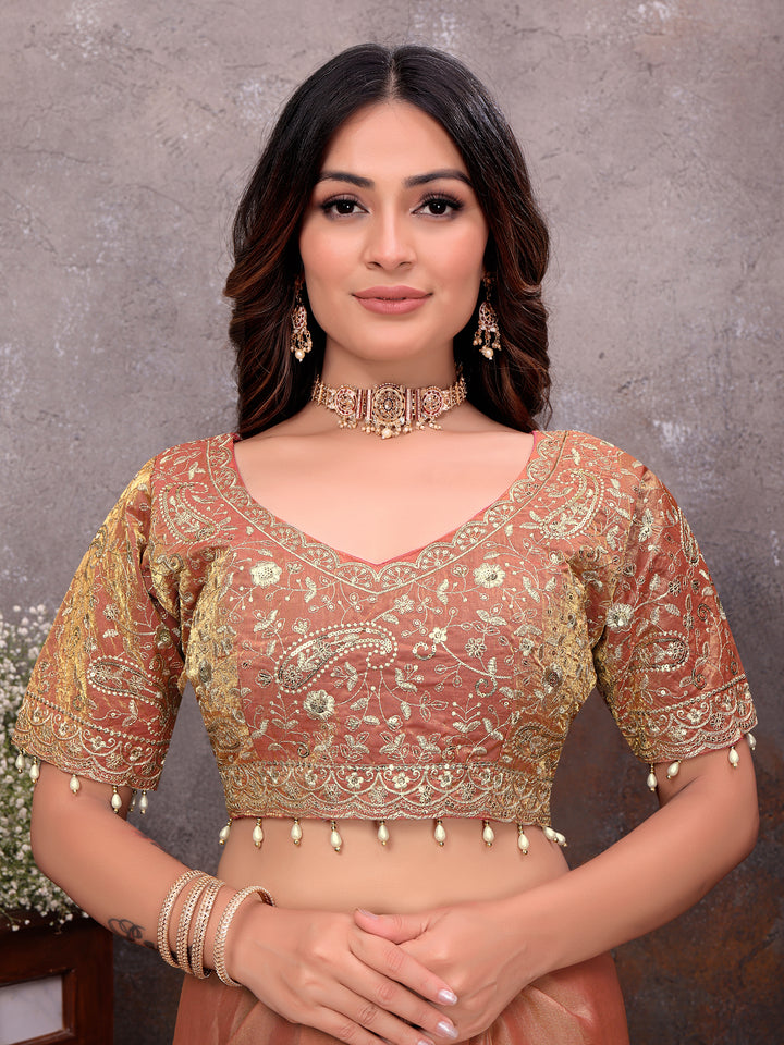 Peach Gold Tissue Embroidered Saree